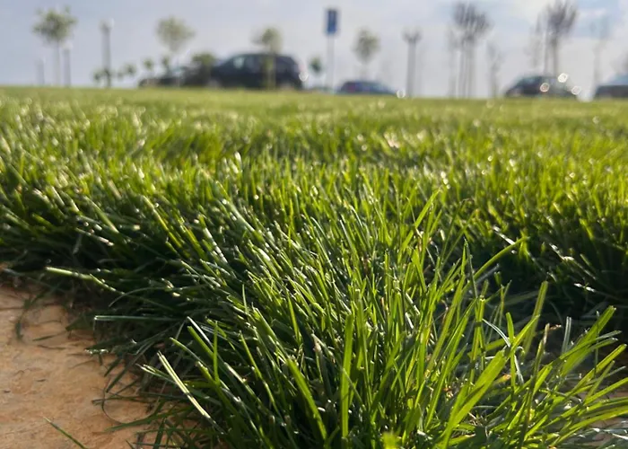 Apartment Un Lux - Hill